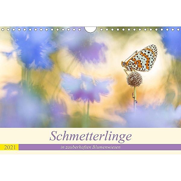 Schmetterlinge in zauberhaften Blumenwiesen (Wandkalender 2021 DIN A4 quer), Perdita Petzl