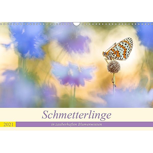 Schmetterlinge in zauberhaften Blumenwiesen (Wandkalender 2021 DIN A3 quer), Perdita Petzl