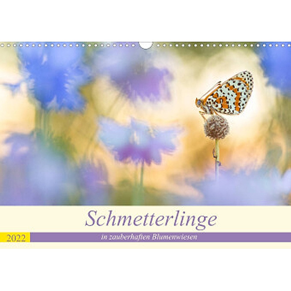 Schmetterlinge in zauberhaften Blumenwiesen (Wandkalender 2022 DIN A3 quer), Perdita Petzl
