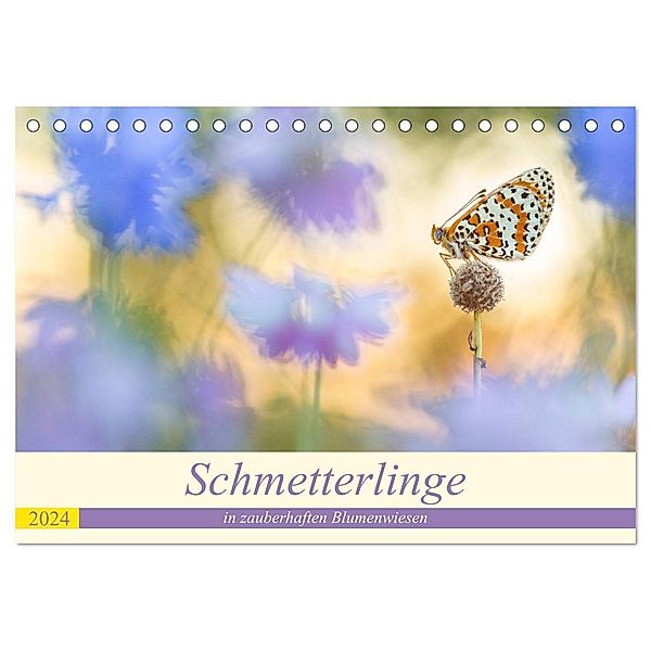 Schmetterlinge in zauberhaften Blumenwiesen (Tischkalender 2024 DIN A5 quer), CALVENDO Monatskalender, Perdita Petzl