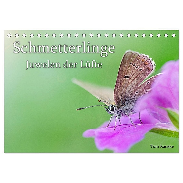 Schmetterlinge - Juwelen der Lüfte (Tischkalender 2024 DIN A5 quer), CALVENDO Monatskalender, Toni Kasiske