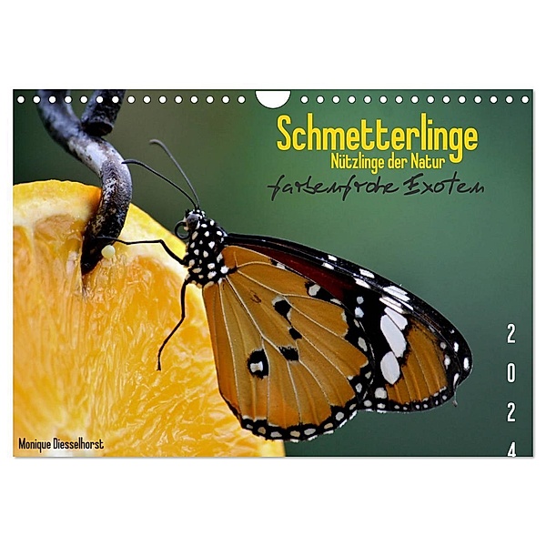 Schmetterlinge Nützlinge der Natur farbenfrohe Exoten (Wandkalender 2024 DIN A4 quer), CALVENDO Monatskalender, Monique Diesselhorst