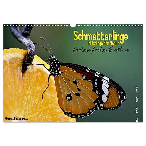 Schmetterlinge Nützlinge der Natur farbenfrohe Exoten (Wandkalender 2024 DIN A3 quer), CALVENDO Monatskalender, Monique Diesselhorst