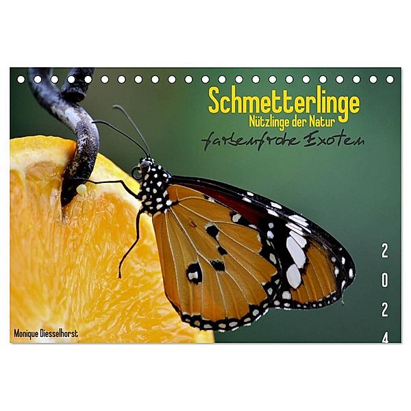 Schmetterlinge Nützlinge der Natur farbenfrohe Exoten (Tischkalender 2024 DIN A5 quer), CALVENDO Monatskalender, Monique Diesselhorst
