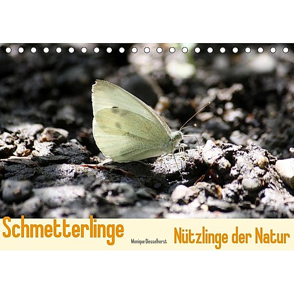 Schmetterlinge Nützlinge der Natur (Tischkalender 2021 DIN A5 quer), Monique Diesselhorst