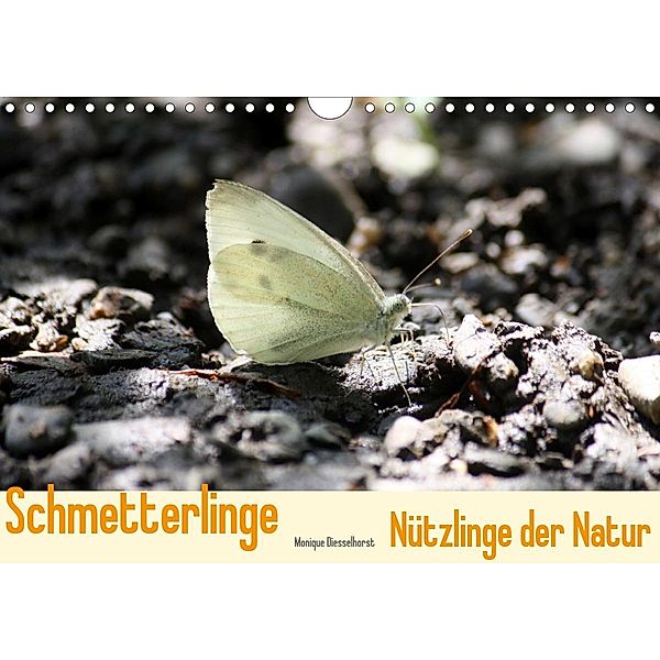 Schmetterlinge Nützlinge der Natur (Wandkalender 2020 DIN A4 quer), Monique Diesselhorst