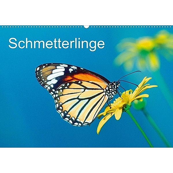 Schmetterlinge (Posterbuch DIN A4 quer)