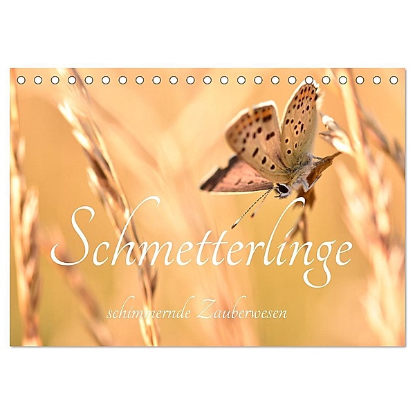 Schmetterlinge. Schimmernde Zauberwesen (Tischkalender 2025 DIN A5 quer), CALVENDO Monatskalender, Calvendo, AnetaZofia