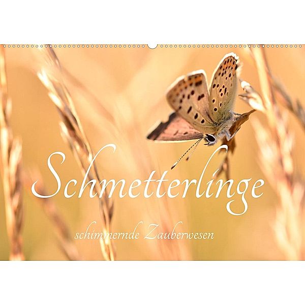 Schmetterlinge. Schimmernde Zauberwesen (Wandkalender 2023 DIN A2 quer), AnetaZofia