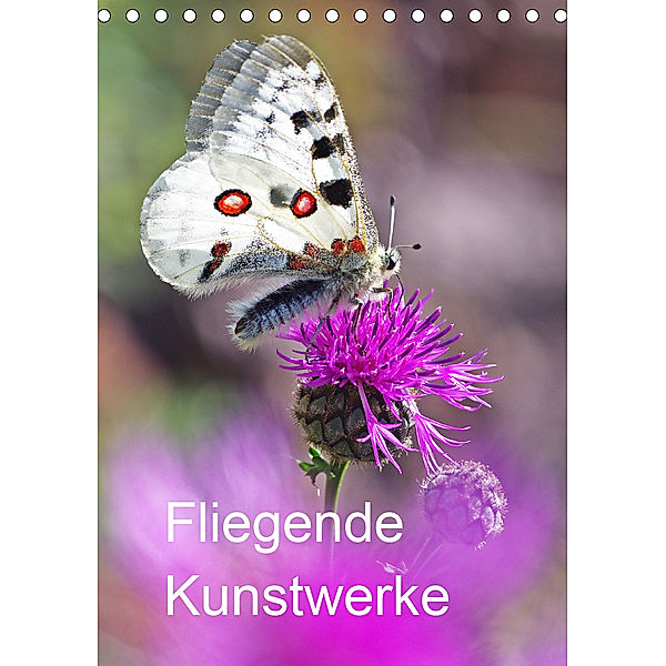 Schmetterlinge, schöne Flieger der Natur (Tischkalender 2020 DIN A5 hoch), Jürgen Blum