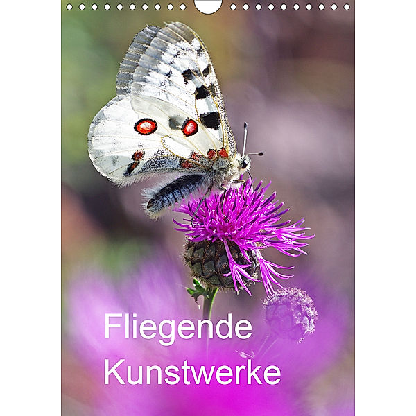 Schmetterlinge, schöne Flieger der Natur (Wandkalender 2020 DIN A4 hoch), Jürgen Blum