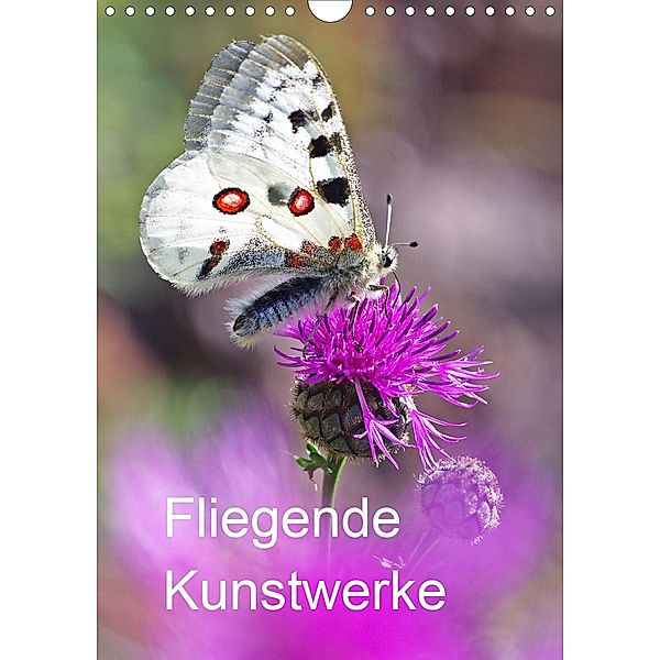 Schmetterlinge, schöne Flieger der Natur (Wandkalender 2021 DIN A4 hoch), Jürgen Blum