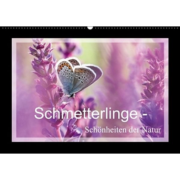 Schmetterlinge Schönheiten der Natur (Wandkalender 2015 DIN A2 quer), Marion Maurer