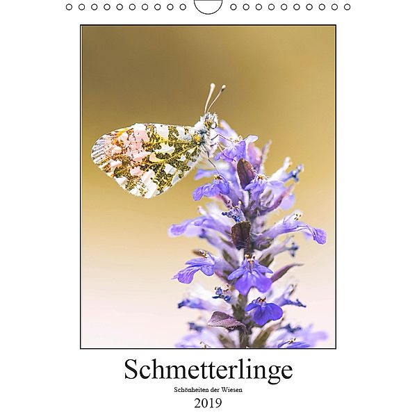 Schmetterlinge - Schönheiten der Wiesen (Wandkalender 2019 DIN A4 hoch), Andreas Vomacka