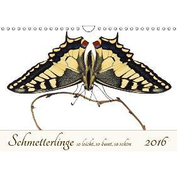 Schmetterlinge so leicht, so bunt, so schön (Wandkalender 2016 DIN A4 quer), Alex Ribi