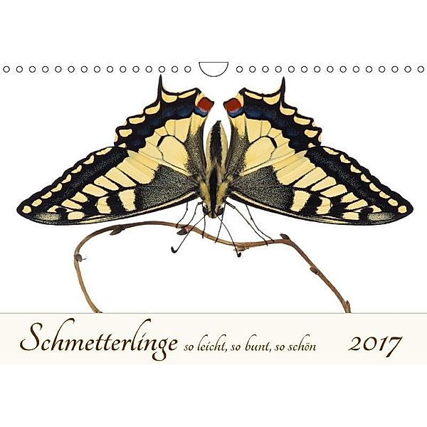 Schmetterlinge so leicht, so bunt, so schön (Wandkalender 2017 DIN A4 quer), Alex Ribi