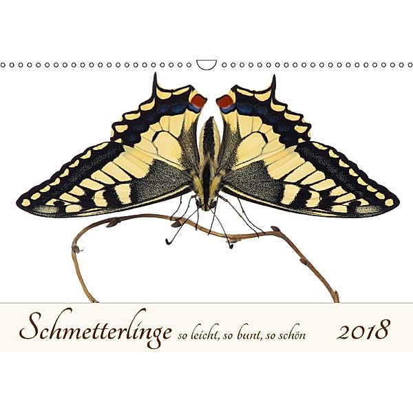 Schmetterlinge so leicht, so bunt, so schön (Wandkalender 2018 DIN A3 quer), Alex Ribi
