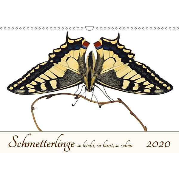 Schmetterlinge so leicht, so bunt, so schön (Wandkalender 2020 DIN A3 quer), Alex Ribi