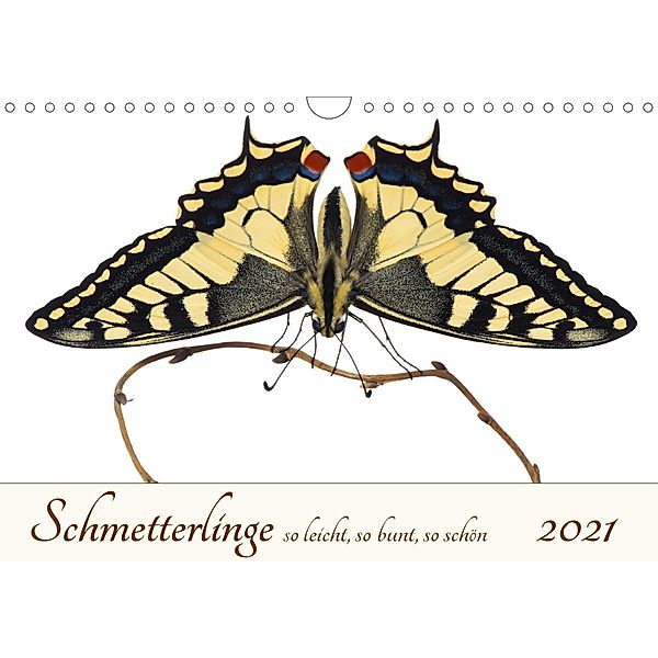 Schmetterlinge so leicht, so bunt, so schön (Wandkalender 2021 DIN A4 quer), Alex Ribi