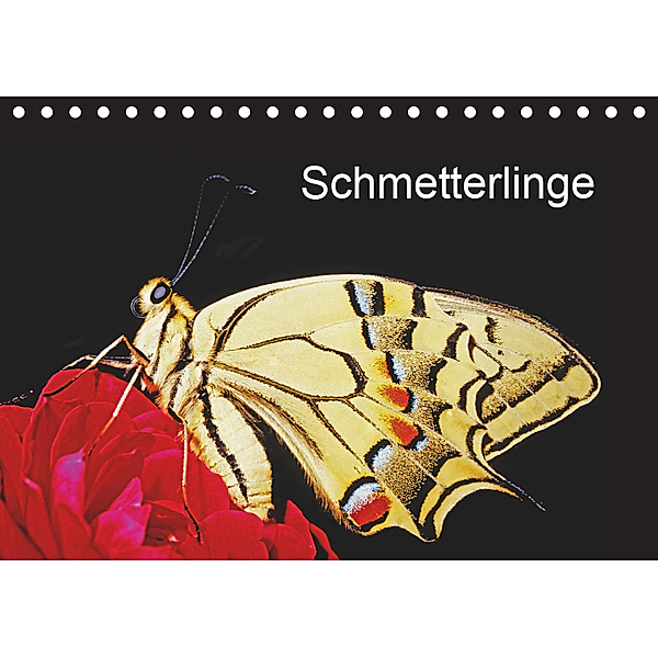 Schmetterlinge (Tischkalender 2019 DIN A5 quer), Bachmeier