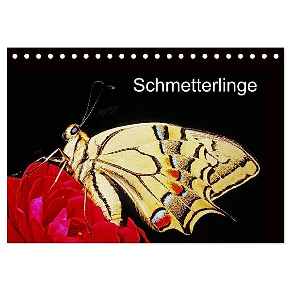Schmetterlinge (Tischkalender 2024 DIN A5 quer), CALVENDO Monatskalender, McPHOTO / Bachmeier / Huwiler / Krause / Kreuter / Schreiter / Steinkamp