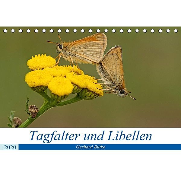 Schmetterlinge und Libellen (Tischkalender 2020 DIN A5 quer), Gerhard Butke