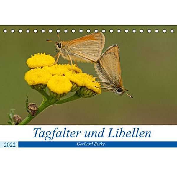 Schmetterlinge und Libellen (Tischkalender 2022 DIN A5 quer), Gerhard Butke