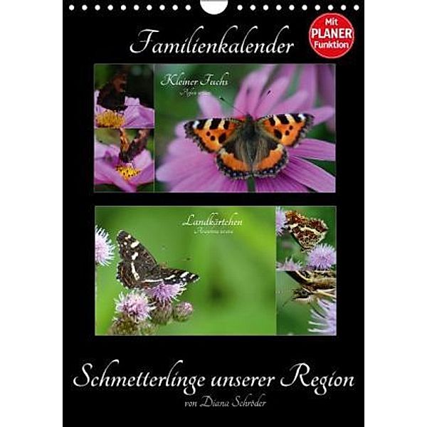 Schmetterlinge unserer Region Familienkalender (Wandkalender 2016 DIN A4 hoch), Diana Schröder