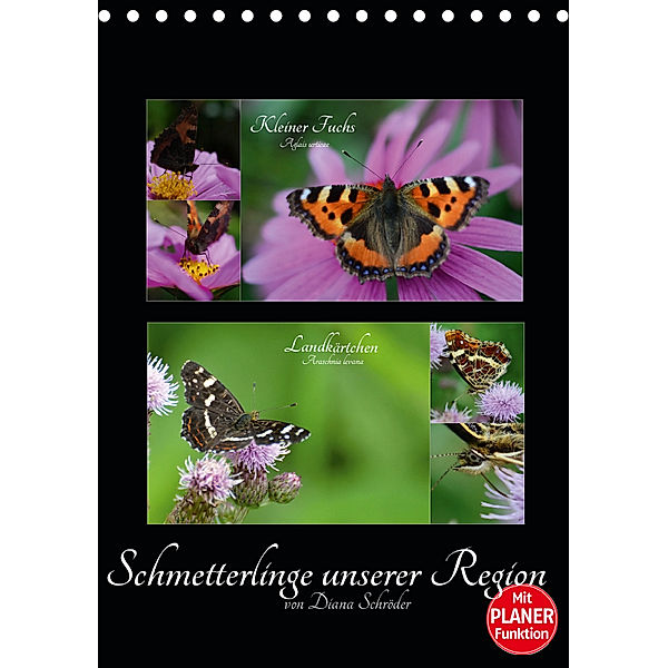 Schmetterlinge unserer Region (Tischkalender 2019 DIN A5 hoch), Diana Schröder