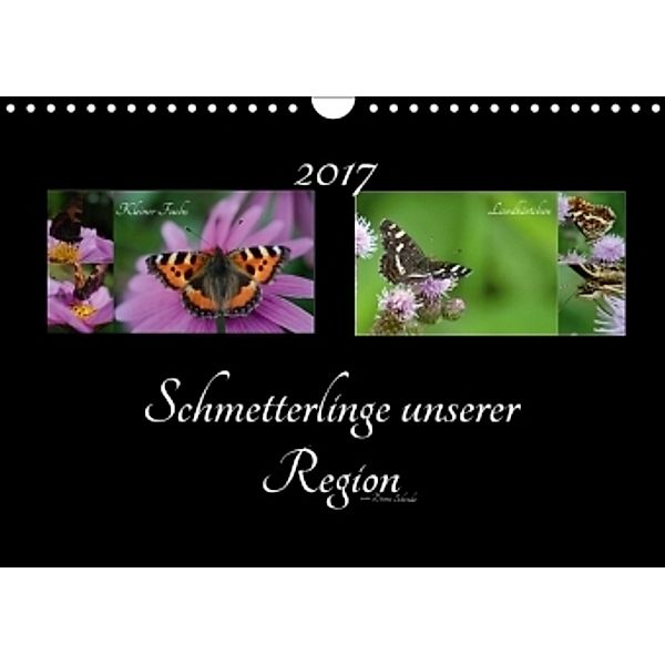 Schmetterlinge unserer Region (Wandkalender 2017 DIN A4 quer), Diana Schröder