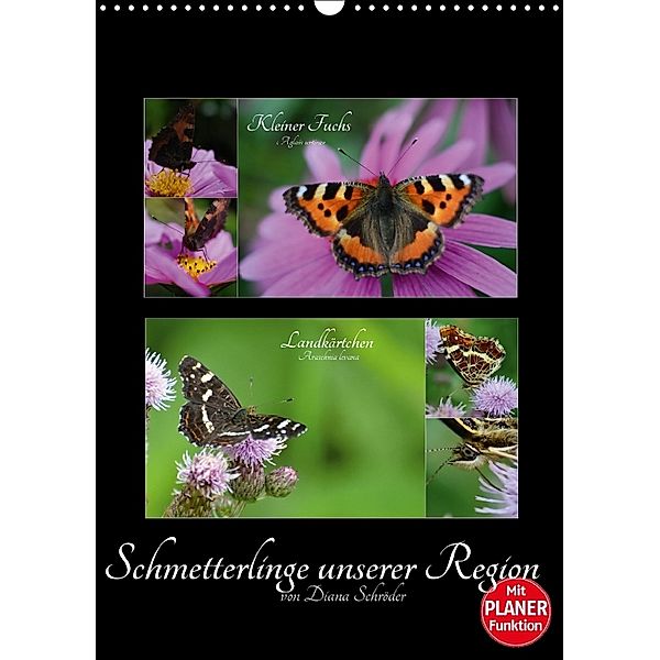 Schmetterlinge unserer Region (Wandkalender 2018 DIN A3 hoch), Diana Schröder