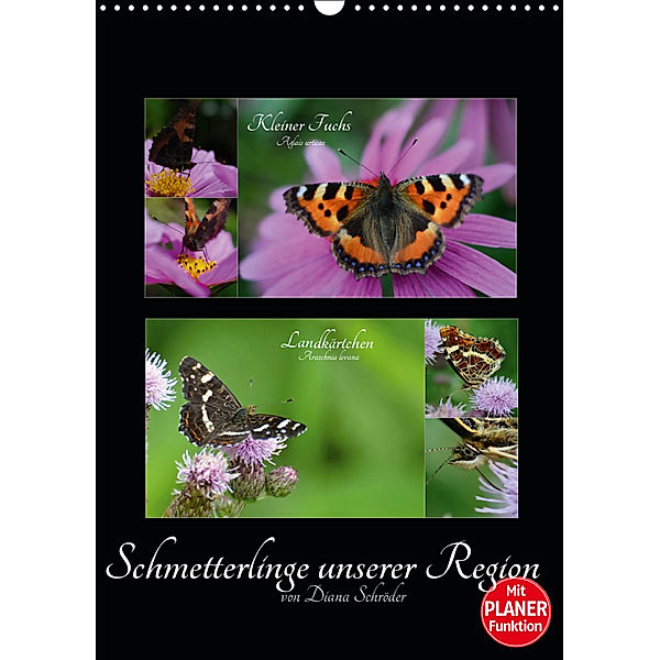 Schmetterlinge unserer Region (Wandkalender 2019 DIN A3 hoch), Diana Schröder