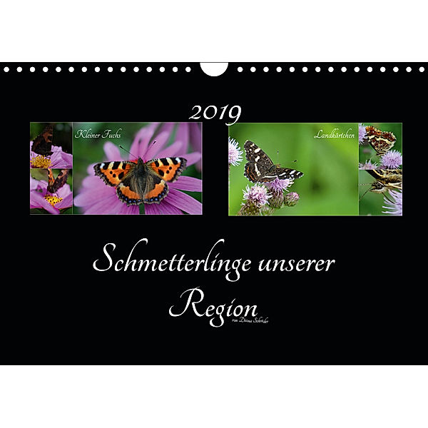 Schmetterlinge unserer Region (Wandkalender 2019 DIN A4 quer), Diana Schröder