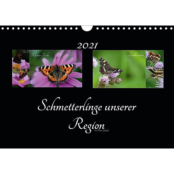 Schmetterlinge unserer Region (Wandkalender 2021 DIN A4 quer), Diana Schröder