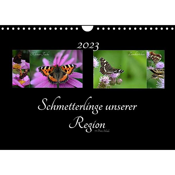 Schmetterlinge unserer Region (Wandkalender 2023 DIN A4 quer), Diana Schröder