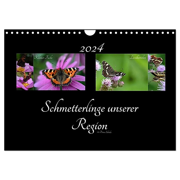 Schmetterlinge unserer Region (Wandkalender 2024 DIN A4 quer), CALVENDO Monatskalender, Diana Schröder