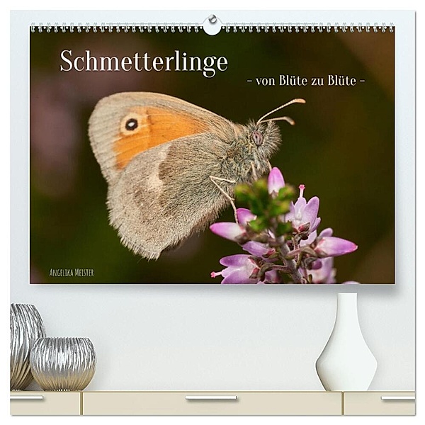 Schmetterlinge - von Blüte zu Blüte - (hochwertiger Premium Wandkalender 2024 DIN A2 quer), Kunstdruck in Hochglanz, Angelika Meister