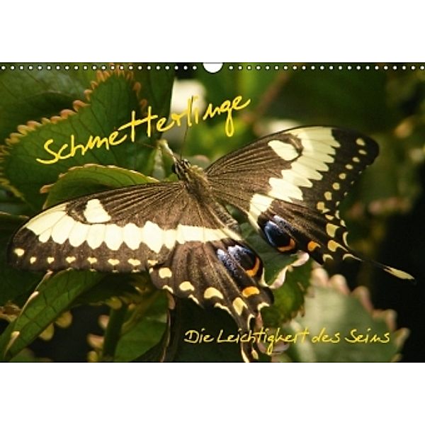 Schmetterlinge (Wandkalender 2014 DIN A3 quer), Alla Pressmann