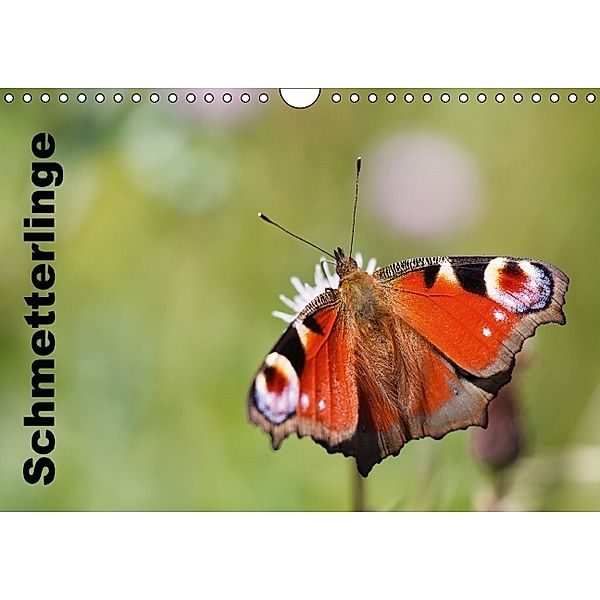 Schmetterlinge (Wandkalender 2014 DIN A4 quer), Denny Hildenbrandt