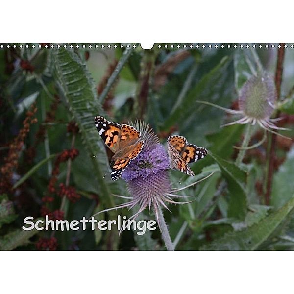 Schmetterlinge (Wandkalender 2017 DIN A3 quer), LoRo-Artwork, k.A. LoRo-Artwork