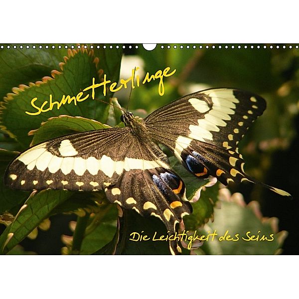 Schmetterlinge (Wandkalender 2018 DIN A3 quer), Alla Pressmann