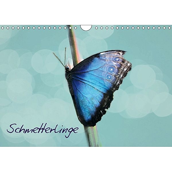 Schmetterlinge (Wandkalender 2018 DIN A4 quer), Heike Hultsch