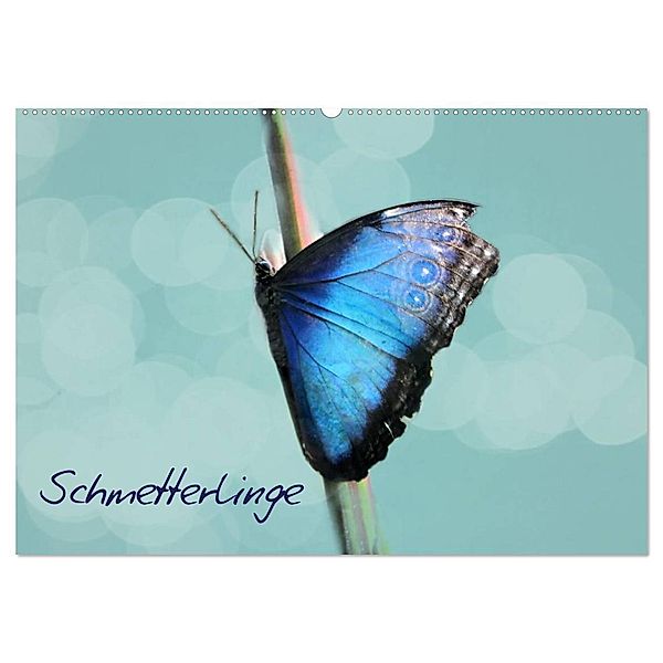 Schmetterlinge (Wandkalender 2024 DIN A2 quer), CALVENDO Monatskalender, Heike Hultsch