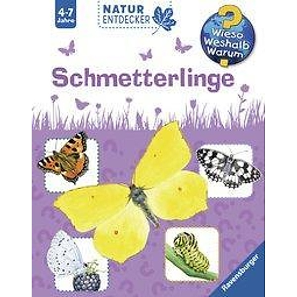 Schmetterlinge / Wieso? Weshalb? Warum? Natur-Entdecker Bd.9, Angelika Lenz