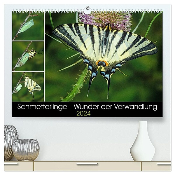 Schmetterlinge - Wunder der Verwandlung (hochwertiger Premium Wandkalender 2024 DIN A2 quer), Kunstdruck in Hochglanz, Wilhelm Eisenreich