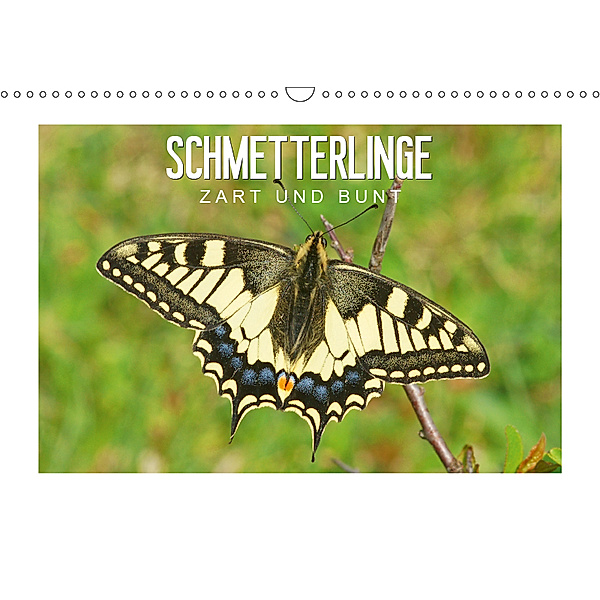 Schmetterlinge: zart und bunt (Wandkalender 2019 DIN A3 quer), Karl-Hermann Althaus