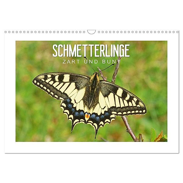 Schmetterlinge: zart und bunt (Wandkalender 2024 DIN A3 quer), CALVENDO Monatskalender, Karl-Hermann Althaus