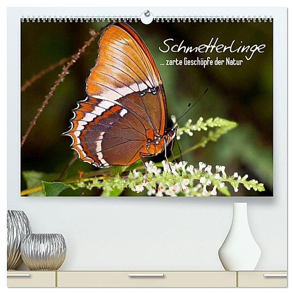 Schmetterlinge - zarte Geschöpfe der Natur (hochwertiger Premium Wandkalender 2024 DIN A2 quer), Kunstdruck in Hochglanz, Melanie Viola