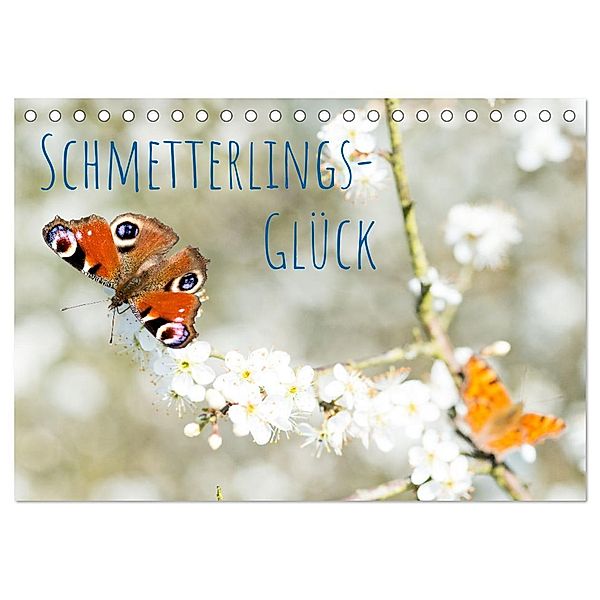 Schmetterlings-Glück (Tischkalender 2024 DIN A5 quer), CALVENDO Monatskalender, Carola Vahldiek