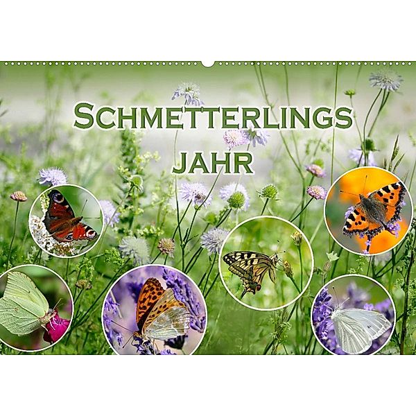 Schmetterlingsjahr (Wandkalender 2023 DIN A2 quer), Christine B-B Müller
